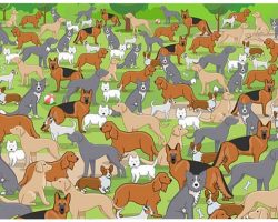 Try To Find The Puppy Among A Pack Of Dogs Puzzle Causes Internet Frenzy