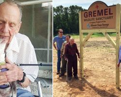 Senior Millionaire Donates Life Savings To Build A 400-Acre Wildlife Sanctuary