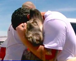 Soldier Falls In Love With Puppy In Iraq. 1-Month Later Dog Goes Bonkers When They Reunite