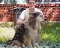 Mom Keeps Promise To Let Her Dying Dog See Snow One Last Time