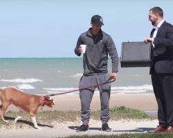 Man Offers Strangers $100,000 In Exchange For Their Dogs In Social Experiment