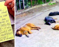 Thug Sends Threat Mails & Poisons Dogs Who “Bark”, $5000 Reward As 11 Dogs Die