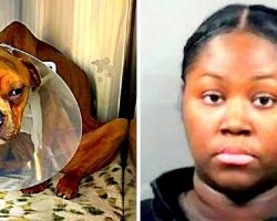 Vile Woman Deliberately Starves Dog For Months, Buries Him In A Dumpster To Die