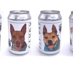 Brewery Puts Shelter Dogs On Beer Cans Hoping They’ll Get Adopted