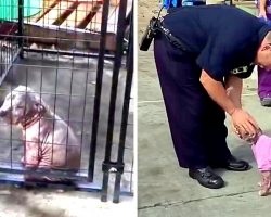 Fireman Visits Severely Abused Pup He Had Saved, Pup Clings To Him & Won’t Let Go