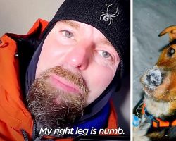 Vet Spends 4 Hours In Cold Doghouse At Night, Shows How Dogs Suffer In The Cold
