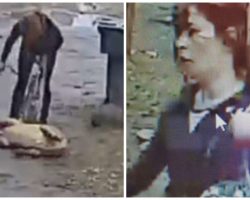 Woman Kicks, Bites, And Beats Helpless Dog Tethered To A Leash