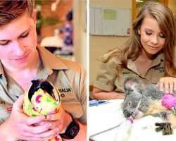 Steve Irwin’s Family Carry On His Legacy By Saving 90,000 Animals From Bushfires