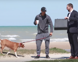 Man In Suit Offers $100,000 To Strangers For Their Dogs In Social Experiment