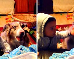 Mom Tries To Make Baby Say “Mama”, Baby Gets Jealous When Dog Says It First