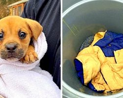 Owners Dump Puppy In A Trashcan & Shut It Tight With A Bungee Cord To Kill Her
