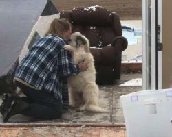 Dog And Owner Take A Moment After Tornado Tears Down Their Home