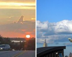Dog-Shaped Cloud Is Undeniable Proof That All Dogs Go To Heaven