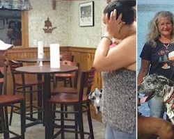 Angry Lady Screams At Veteran For Bringing Service Dog Into Restaurant And It Sparked Outrage