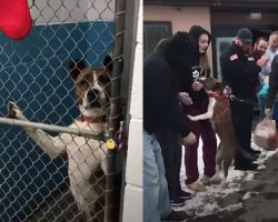 After 500 Days, Bonita Finally Gets To Leave The Shelter