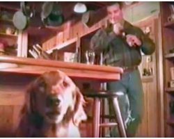 Budweiser Ad Stars A ‘Talking Dog’ Who Comically Explains Why He Gives Owner Beer