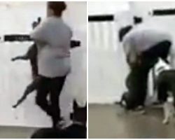 Doggy Daycare Worker Slams Dog On Ground & Threatens To Break His Neck