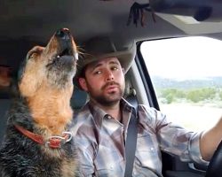 Country-Loving Dog Can’t Resist Singing Along Whenever Her Favorite Song Comes On