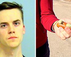 Man Feeds Poisoned Hot Dogs To Neighbor’s 3 Dogs As Revenge For Barking At Him