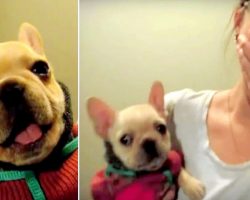 Mom Tells Her Puppy She Loves Him, Starry-Eyed Puppy Mouths “I Love You” Back