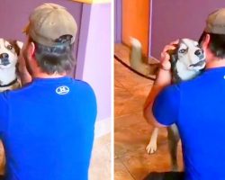 Dog Went Missing 4 Years Ago, Dad Is Over The Moon After Dog Is Finally Found