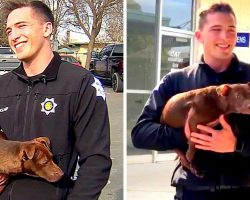 Cop Rescues Puppy Being Strangled By Owner, Arrests Owner & Adopts Puppy Himself