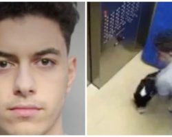 Man Beats Siberian Husky Pup Senseless For Urinating In Elevator