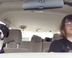 Mom And Dog Take A Car Ride, Break Into Song When Michael Jackson Plays On The Radio