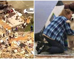 Mom & Dog Overwhelmed With Emotion Day After Tornado Tore Them Apart