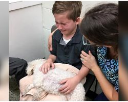 Young Boy Comforts His Dying Dog: “I Want To Hold Her When She Goes To Heaven”