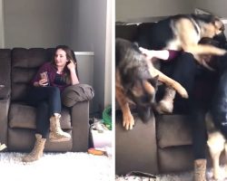 Soldier Returns Home To Her Dogs After 6 Months And They ‘Lost It’