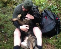 Police Dog Went Missing In The Woods For A Week Before His Handler Found Him