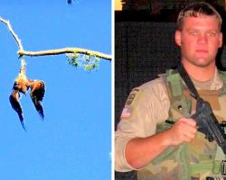 Army Veteran Intervenes As Town Refuses To Assist Poor Eagle Hanging From A Tree