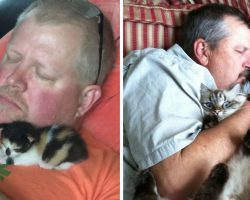 19 People Who Wanted Nothing To Do With Cats