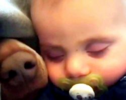 Mom Sees Baby Sleeping Blissfully But A Tiny Nose Pops Up From Under The Blanket