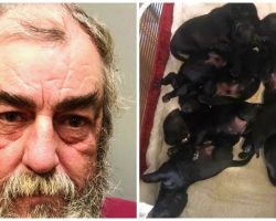 Man Tosses Bag Off Bridge Into Water, Fishermen Below Find 8 Puppies Inside