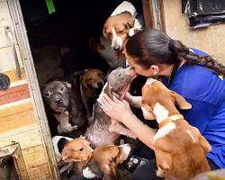 Dogs Locked In Grimy RV For Years Smother Rescuer With Kisses When She Opens Door