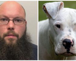 Emotionless Man Starves His Dog To Death & Goes On The Run