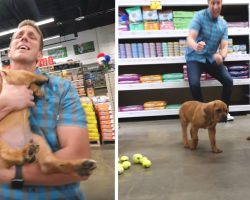 Blind Homeless Puppy Is Taken To Pet Store And Given Everything He Touches