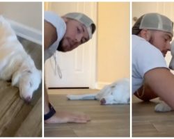 Man Invents Gentle Maneuver To Wake His Deaf & Blind Rescue Dog Up
