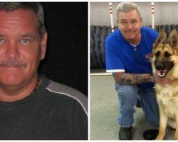Prominent Trainer Stabs Dog To Death Using Pocket Knife For “Euthanasia”