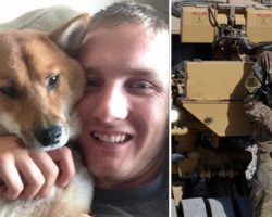 Soldier’s Girlfriend Sells His Dog Without Permission While He’s On Deployment