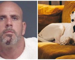 Man Knocks On Neighbor’s Door So He Can Terrorize & Stab Their Dog