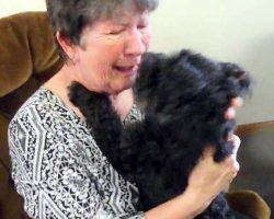 After Weeks Of Separation, Elderly Woman Tearfully Reunites With Her Missing Dog