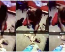 Pup Shrieks As Teen Beats Him With Belt For ‘Going Potty On His Carpet Floor’