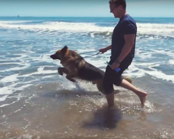 Dog Chained Up For 5-Years Sees The Ocean For The First Time