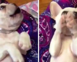 Girl Sings “If You’re Happy & You Know It” & Cute Puppy Raises Her Paws To Clap
