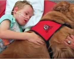 Boy With Brain Injury Won’t Wake Up, Family Says Goodbye As Dog Lay On Top Of Him