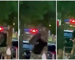 Man Walks Free After Lifting His Dog Over His Head & Slamming Him Into Pavement