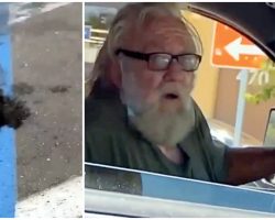Man Throws His Dead Dog Out Of Car Window In A Walmart Parking Lot